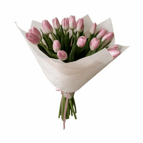 Bouquet 20 Tulipanes LatamB
